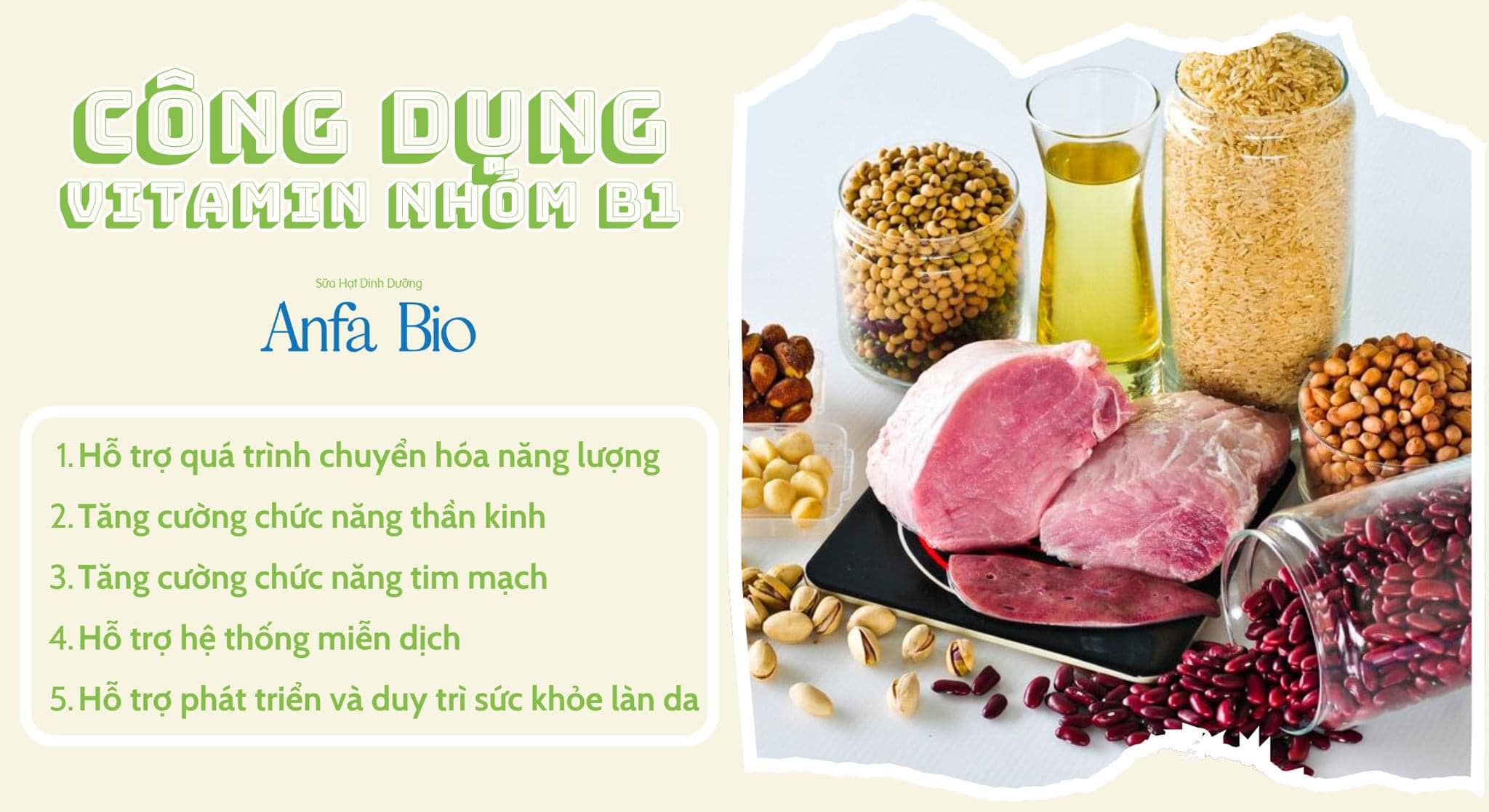 MAGIE CHẤT KHOÁNG DẦN BỊ LÃNG QUÊN